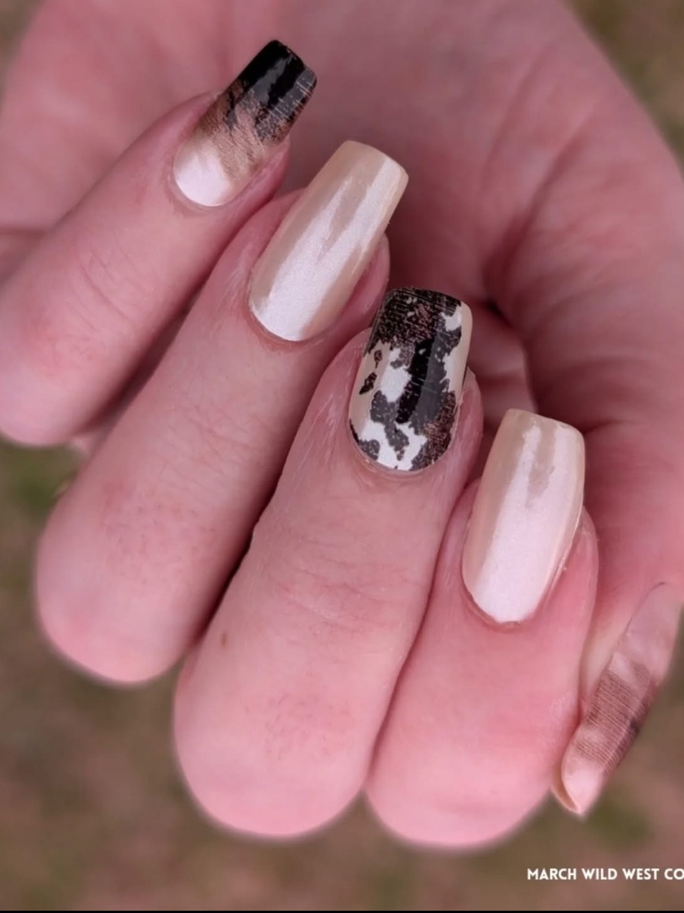 *Exclusive* Color Street: Trail Blazer | Cow Print Ivory Brown Western Fall